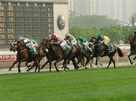 香港跑馬是什麼